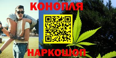 СК Новозыбков