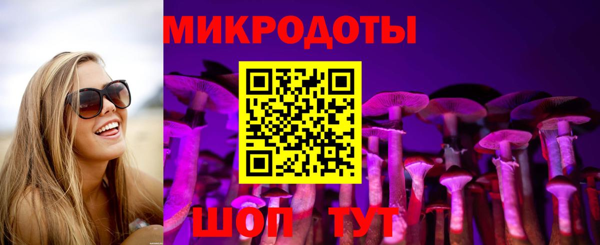 Светлоград  Псилоцибиновые грибы прущие грибы  Вход с VPN 